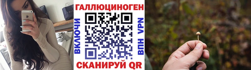 дарнет шоп  Ахтубинск  Псилоцибиновые грибы MAGIC MUSHROOMS 