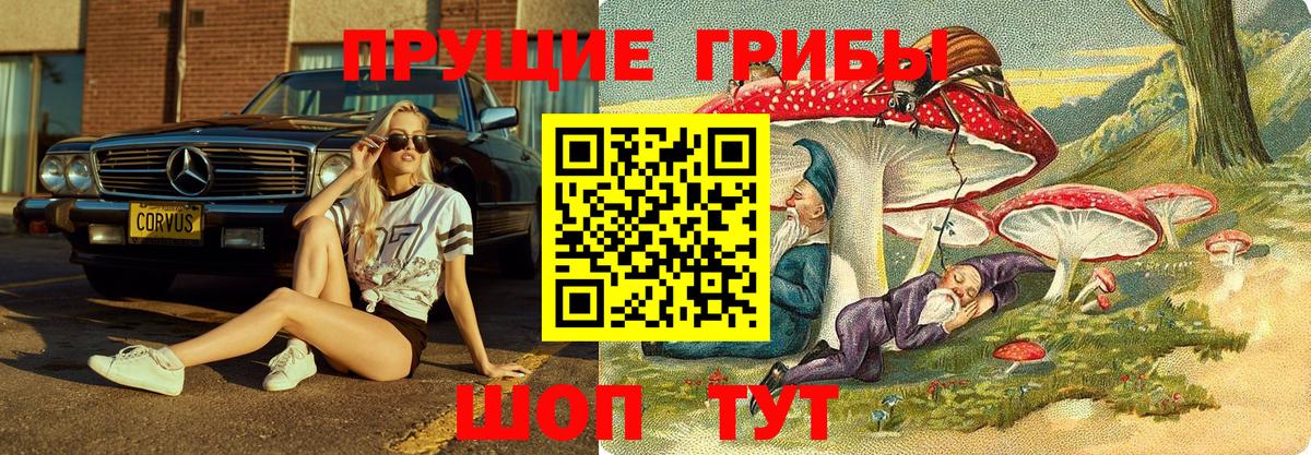 Галлюциногенные грибы Magic Shrooms Ахтубинск