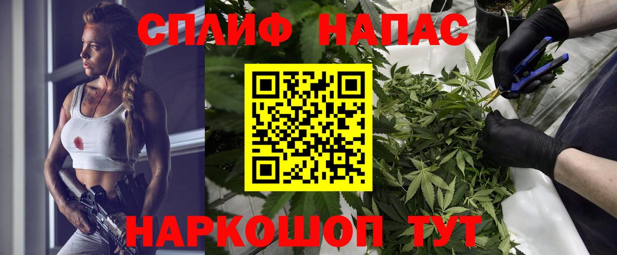 Каннабис Bruce Banner Ахтубинск
